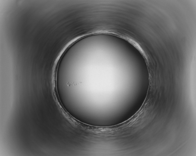 X0000096171148200801180825