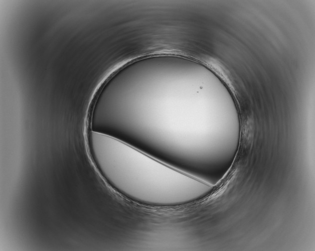 X0000096171149200801180825