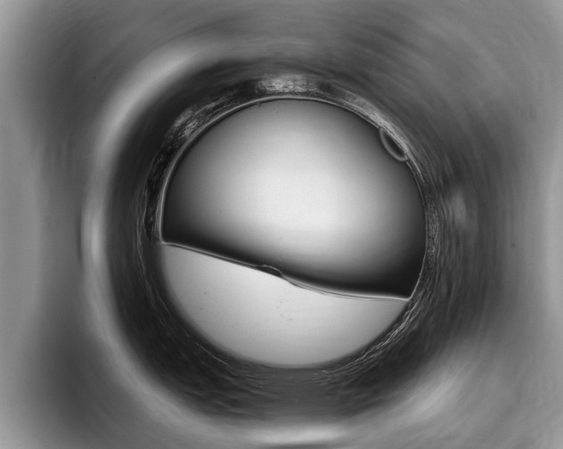 X0000096171151200801180825
