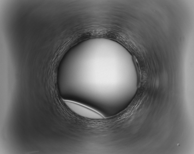 X0000096171153200801180824