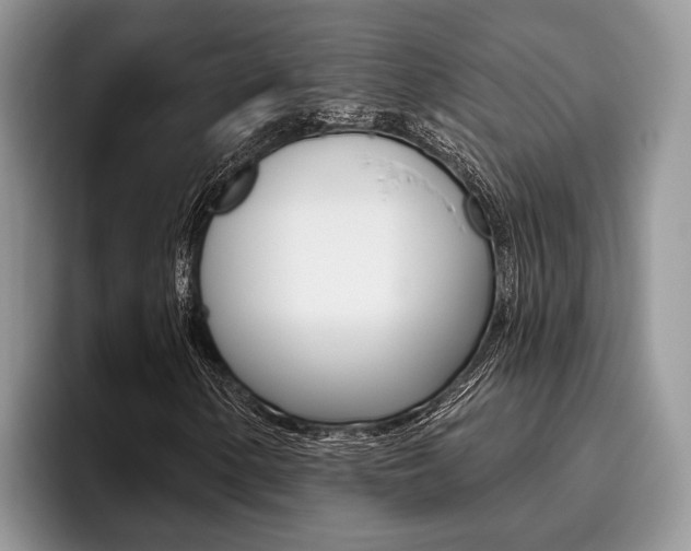 X0000096171154200801180824