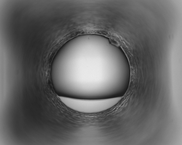 X0000096171157200801180824