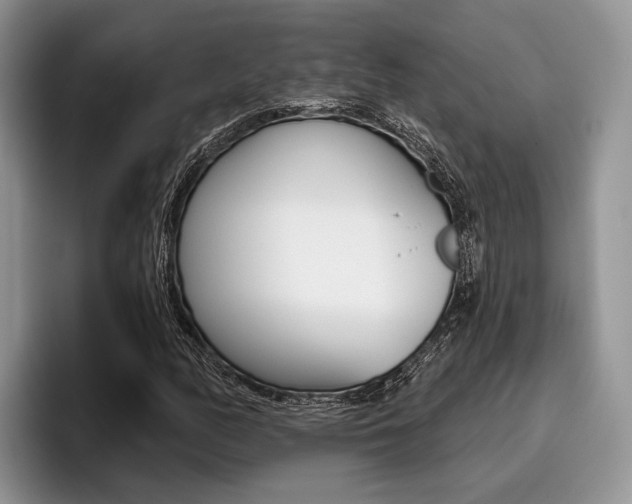 X0000096171158200801180824