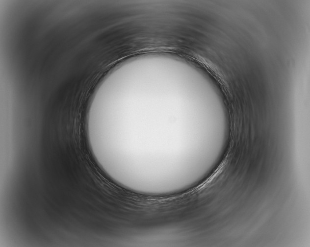 X0000096171161200801180824