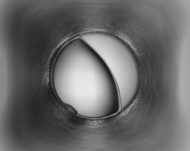 X0000096171165200801180824