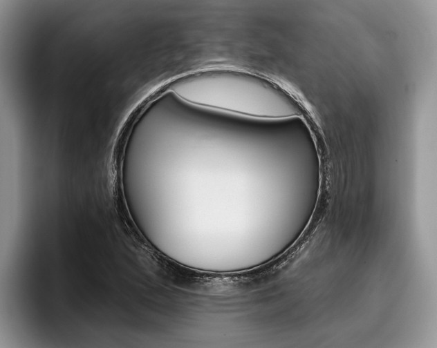 X0000096171167200801180824