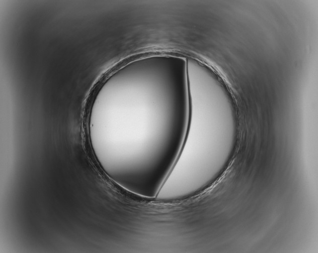 X0000096171168200801180824