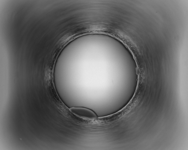 X0000096171169200801180824