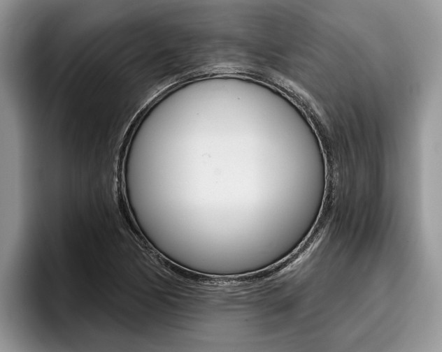 X0000096171170200801180824