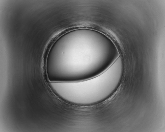 X0000096171172200801180824