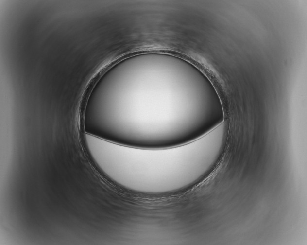 X0000096171173200801180824