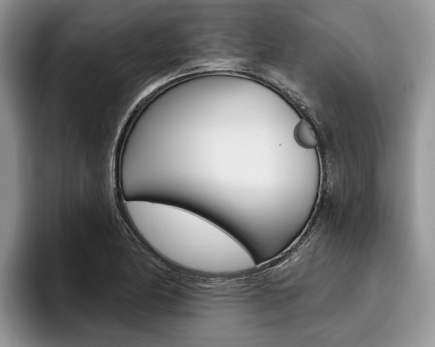 X0000096171174200801180824