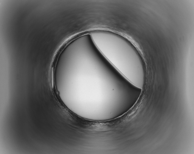 X0000096171175200801180824