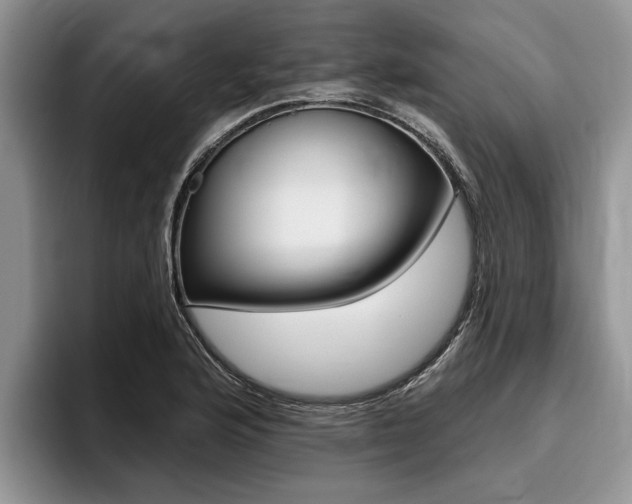 X0000096171176200801180824