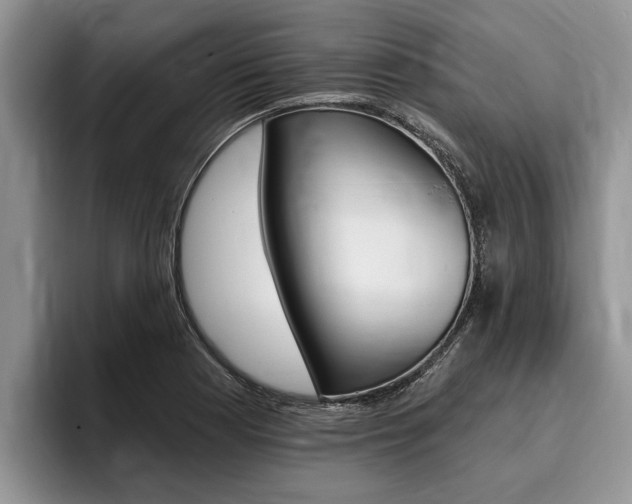 X0000096171177200801180824