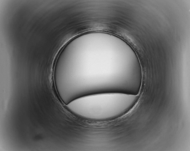 X0000096171178200801180824