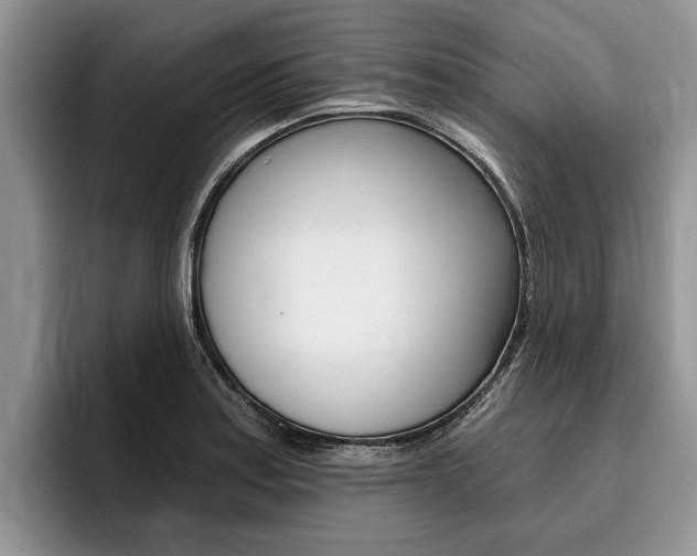X0000096171179200801180824