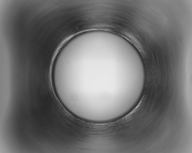 X0000096171180200801180824