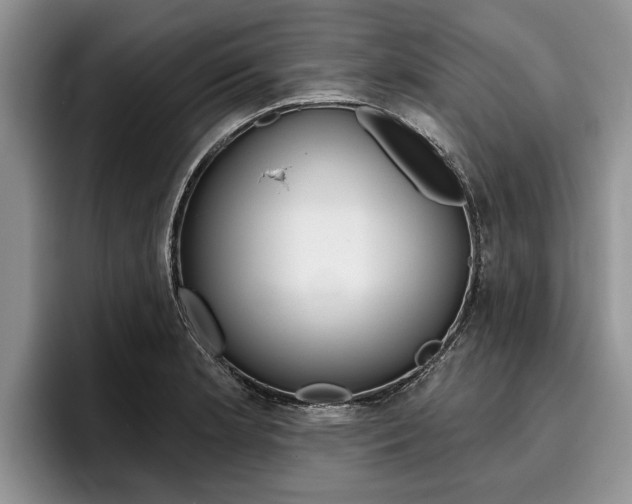 X0000096171181200801180824