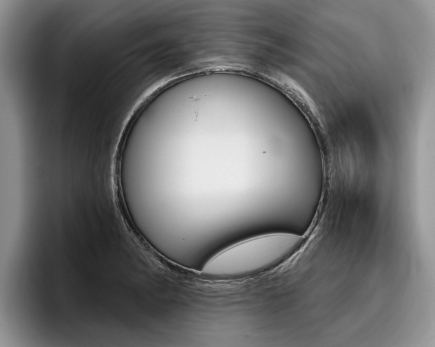 X0000096171182200801180824
