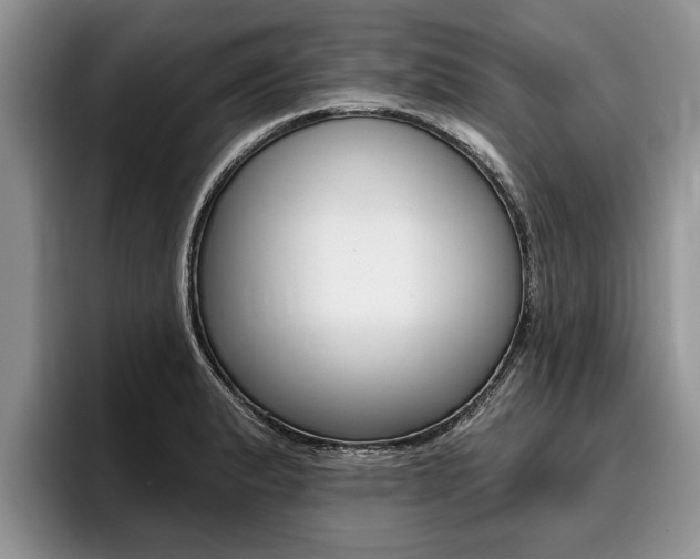 X0000096171183200801180824