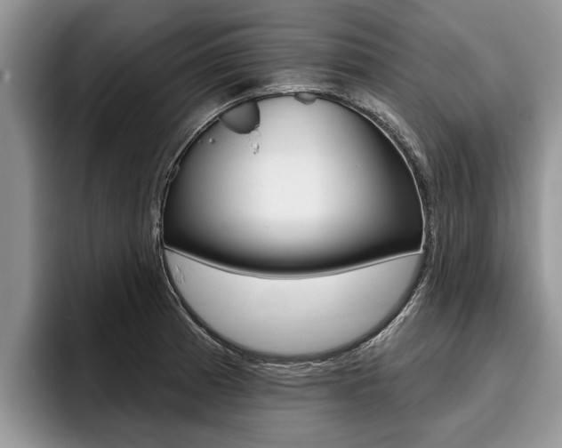X0000096171185200801180824