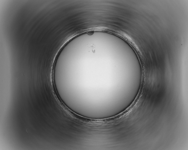 X0000096171186200801180824