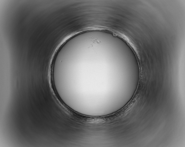 X0000096171187200801180824
