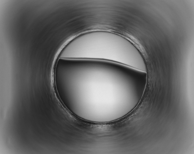 X0000096171188200801180824