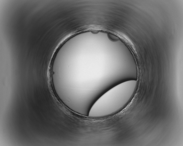 X0000096171190200801180824