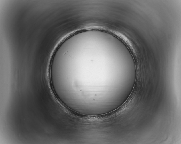 X0000096171191200801180824