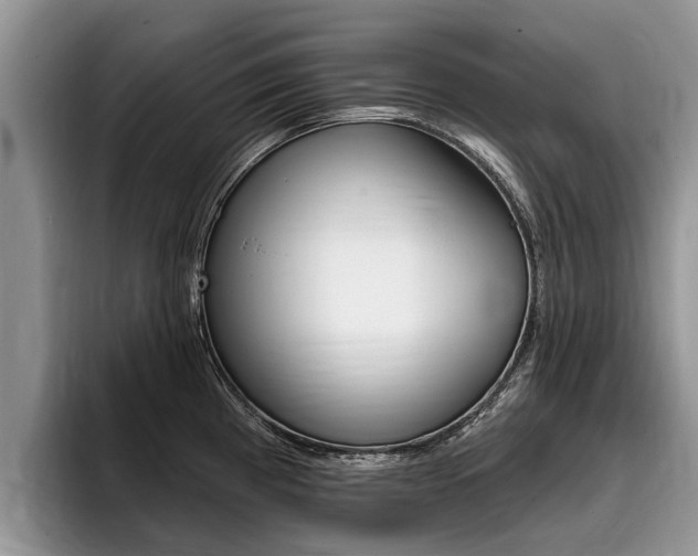 X0000096171193200801180824