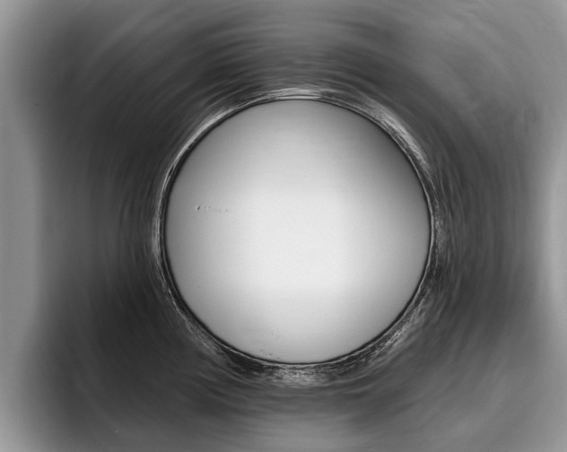 X0000096171194200801180824