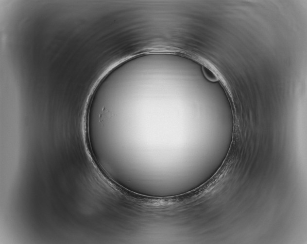 X0000096171195200801180824