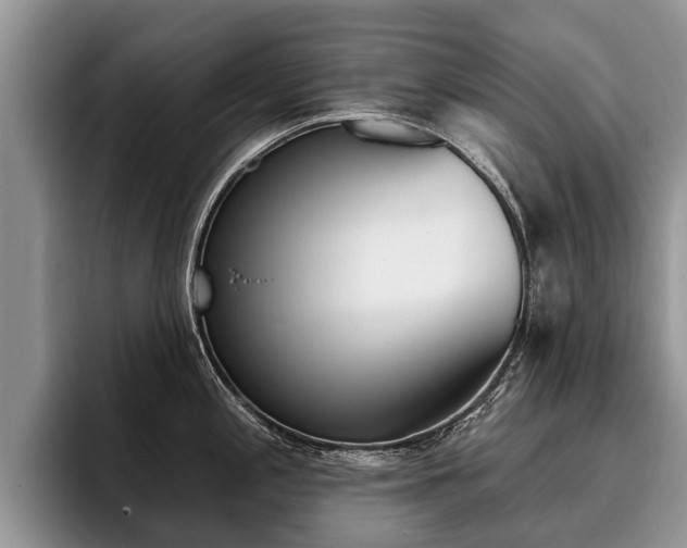X0000096171197200801180824