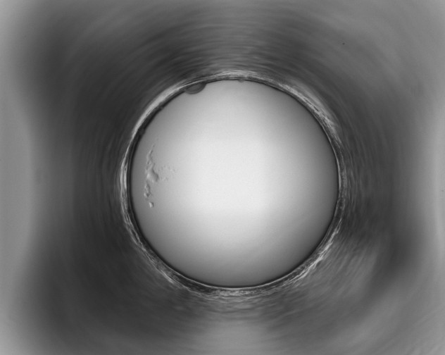 X0000096171198200801180824