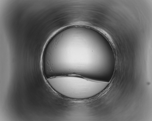 X0000096171199200801180824