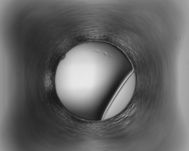 X0000096171202200801180823
