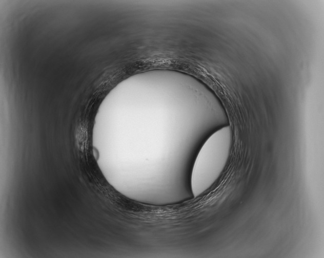 X0000096171203200801180823