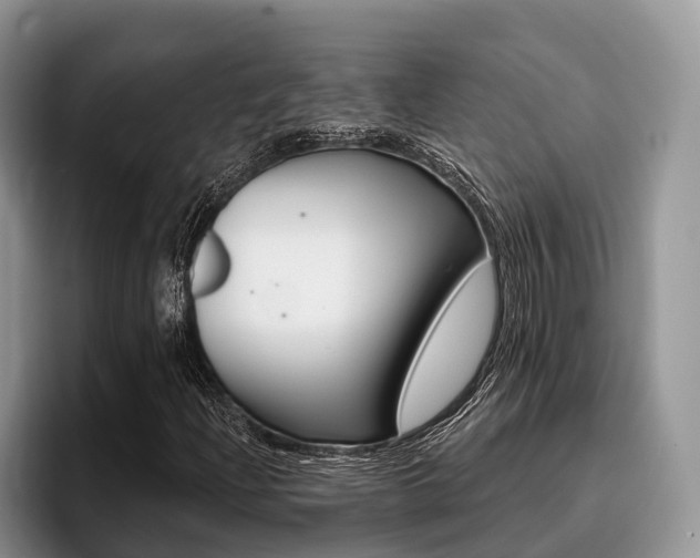 X0000096171204200801180823