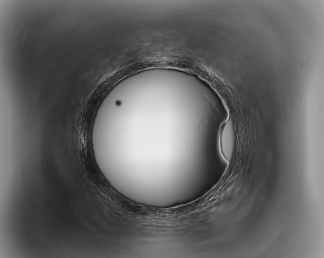 X0000096171206200801180823