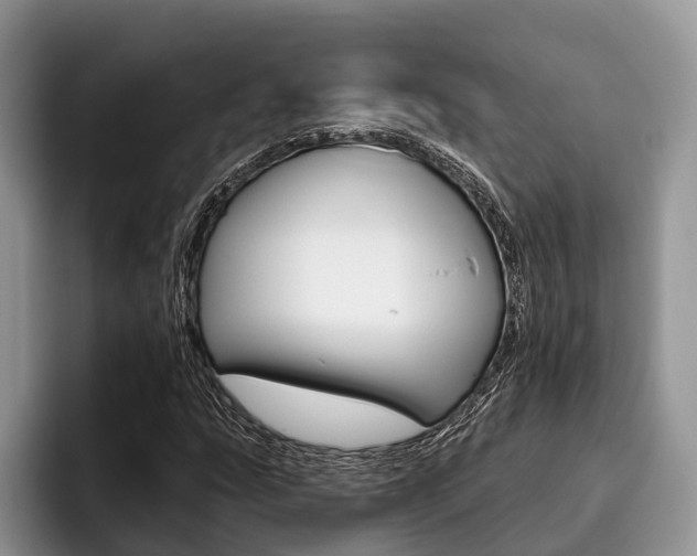X0000096171207200801180823