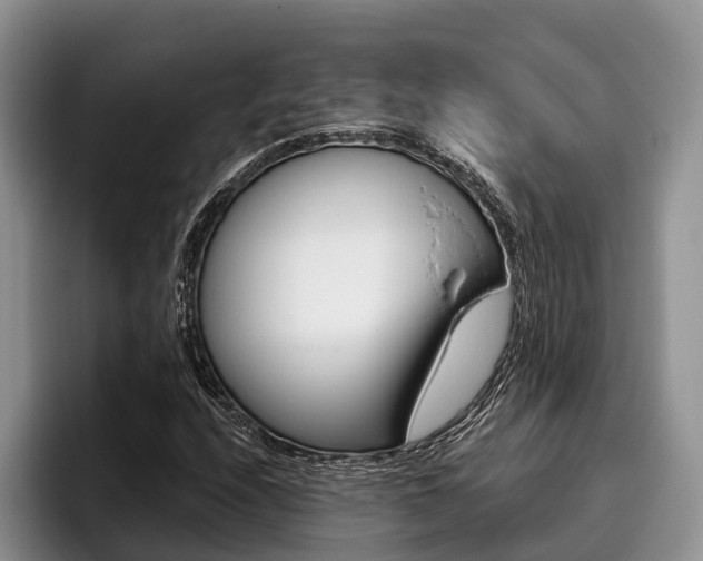 X0000096171208200801180823