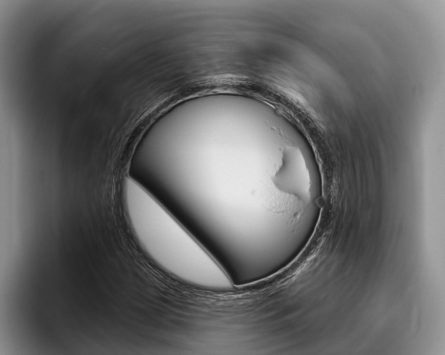 X0000096171209200801180823