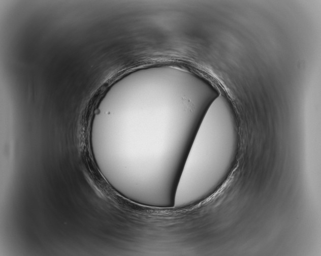 X0000096171211200801180823