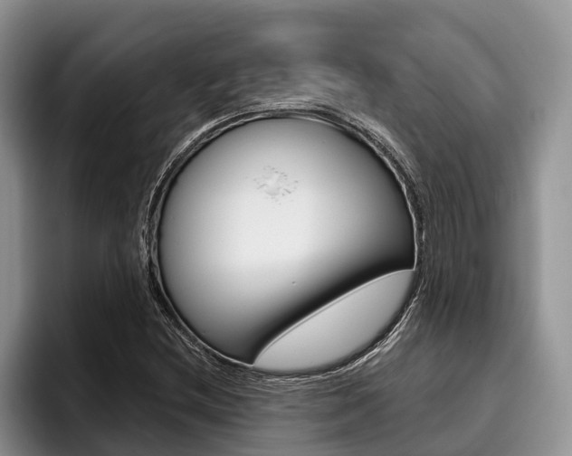 X0000096171212200801180823