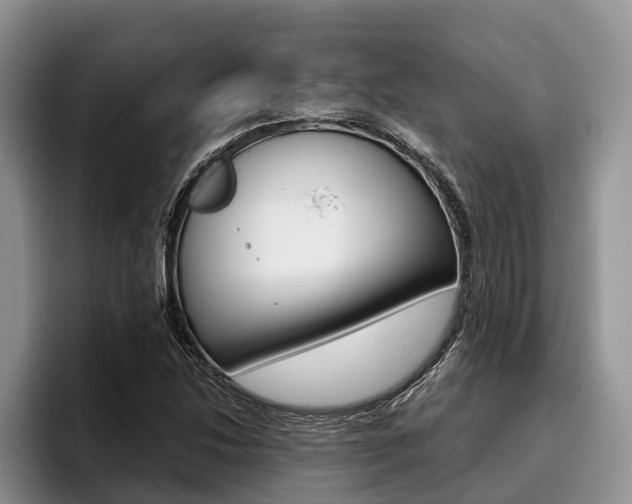 X0000096171214200801180823