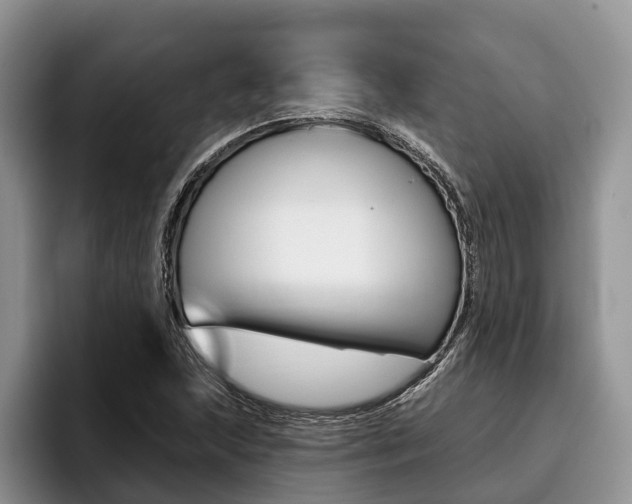 X0000096171215200801180823