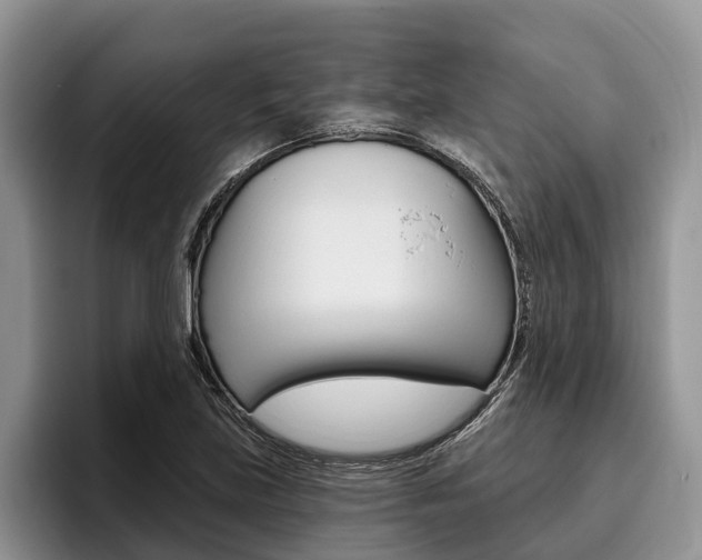 X0000096171219200801180823