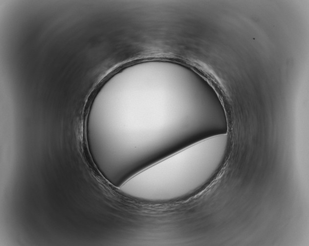 X0000096171220200801180823